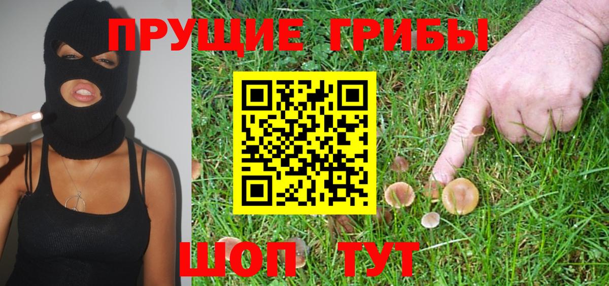 Галлюциногенные грибы прущие грибы Воркута