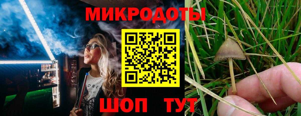 Воркута  Галлюциногенные грибы Psilocybine cubensis  Вход с VPN  Галлюциногенные грибы мицелий 
